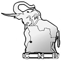 Nacional Benguela