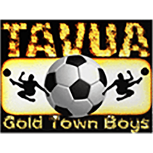 Tavua