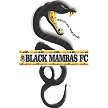 Black Mambas