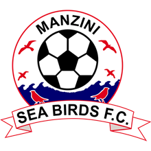 Sea Birds