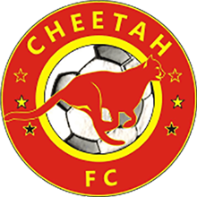 Cheetah