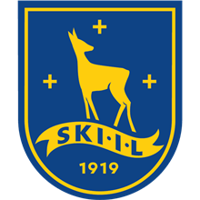 Ski