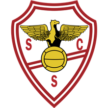 Salgueiros
