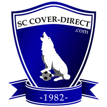 DSG SC Cover-Direct