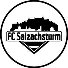 DSG Salzachsturm