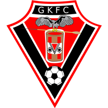 Gavião Kyikatejê
