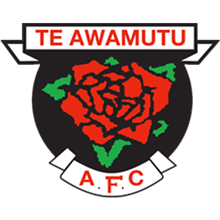 Te Awamutu