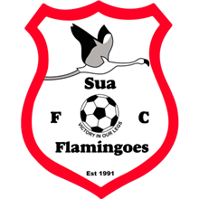 Sua Flamingoes