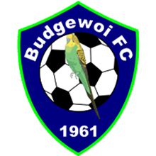 Budgewoi