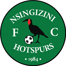 Nsingizini Hotspurs