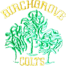 Birchgrove Colts