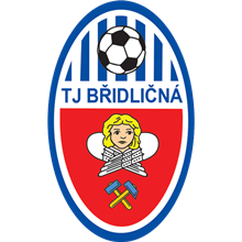 Bridlicná