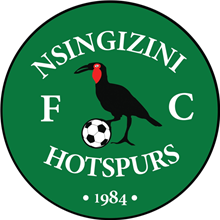 Nsingizini Hotspurs