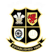 Felinfoel