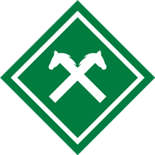 SFN Vechta