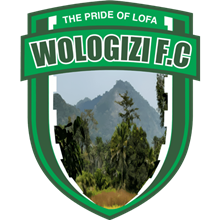 Wologizi