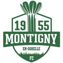 FC Montigny-en-Gohelle