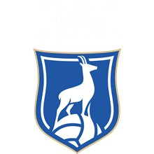 Chamois Niortais St-Flo