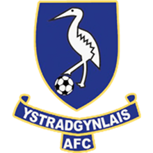 Ystradgynlais AFC