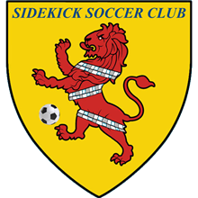 Sidekicks