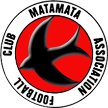 Matamata Swifts