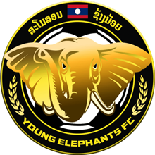 Young Elephant