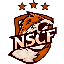 NS Cyberfox