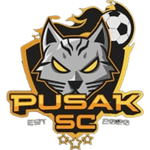 Pusak