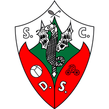 Dragões Sandinenses