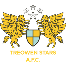 Treowen Stars