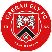 Caerau Ely
