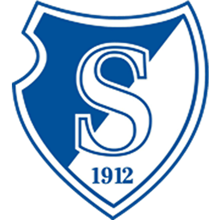 Stormvogels