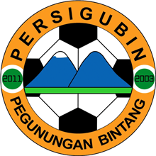 Persigubin