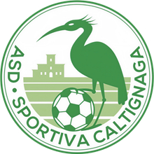 Caltignaga