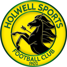 Holwell