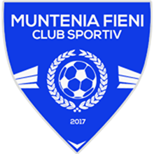 CSM Fieni