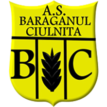 Ciulnita
