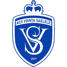 Vointa Saelele