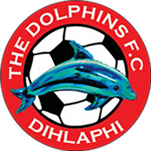 The Dolphins