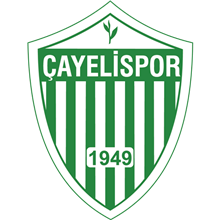 Çayeli Spor