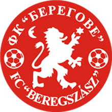 Beregvidejk