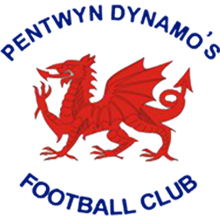 Pentwyn Dynamos