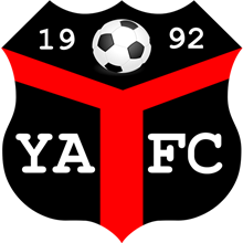 Ynyshir Albions