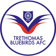 Trethomas Bluebirds