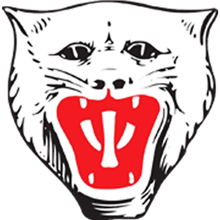 Vikersund