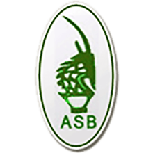 AS Bamako