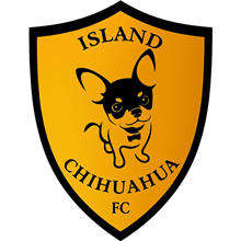 Island Chihuahua