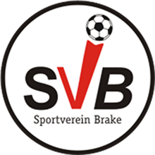 Brake