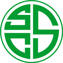 Steinhausen