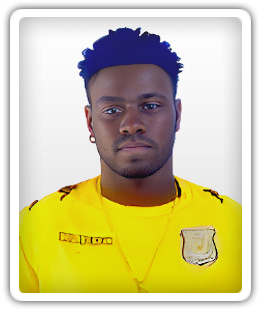 Valdo Gomis